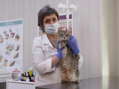 post-17679 thumbnail