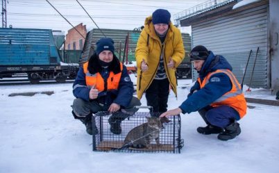 post-18897 thumbnail