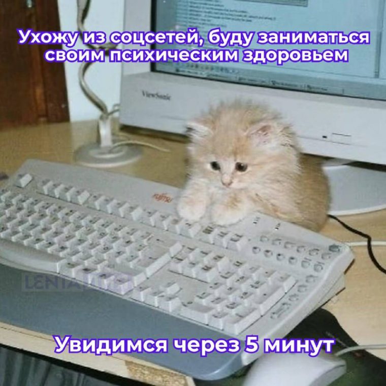 post-22413 thumbnail