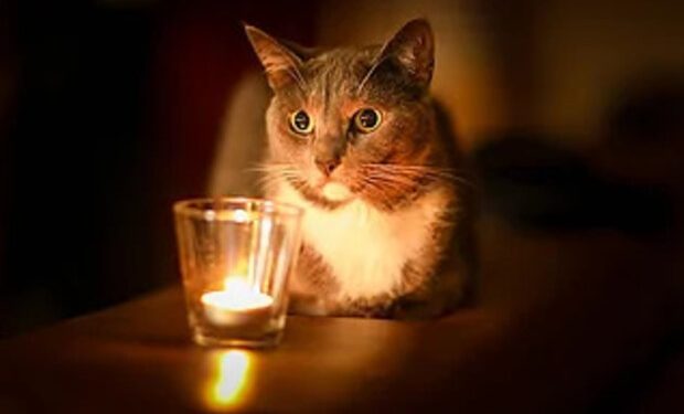 post-25687 thumbnail