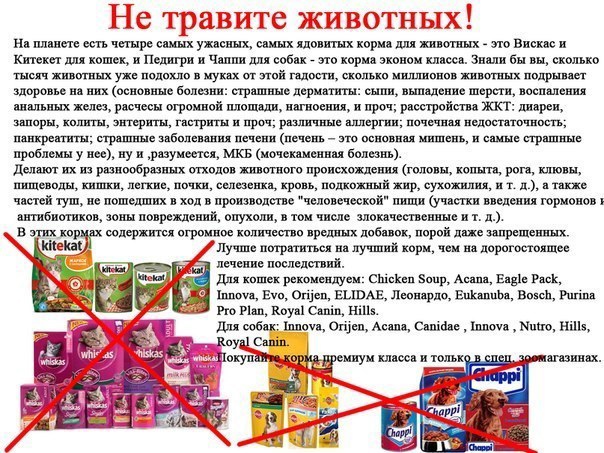 post-25828 thumbnail