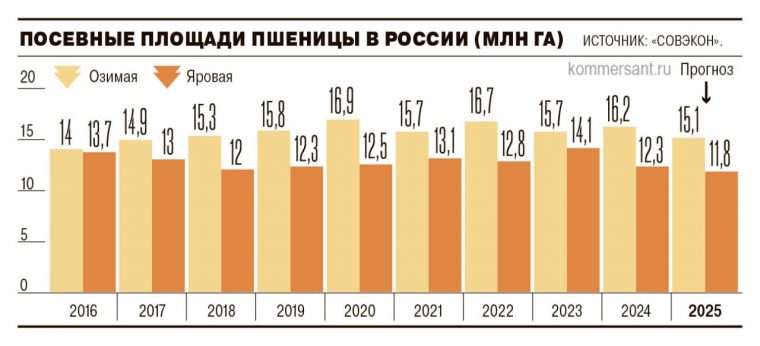 post-26631 thumbnail