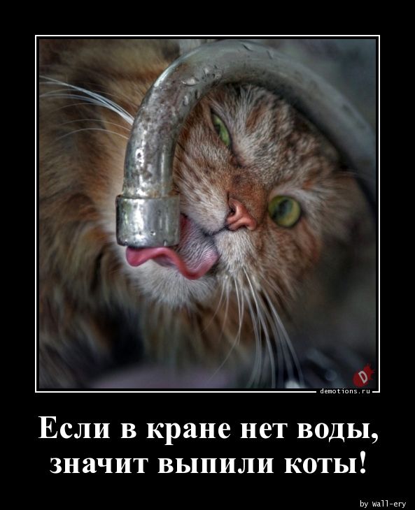 post-32369 thumbnail