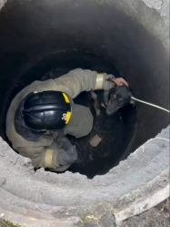 post-28605 thumbnail