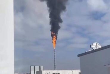 post-28794 thumbnail