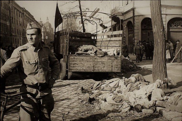 post-31581 thumbnail