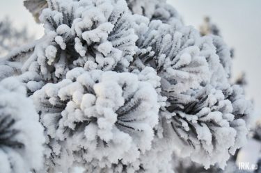 post-32692 thumbnail