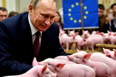 post-33669 thumbnail