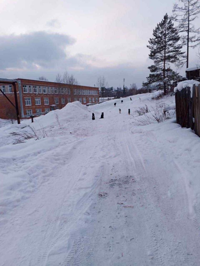 post-34212 thumbnail