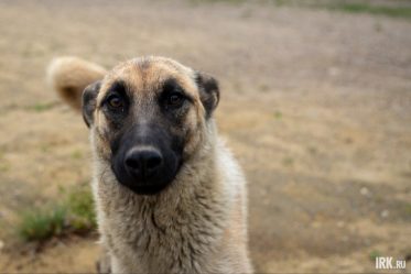 post-35744 thumbnail