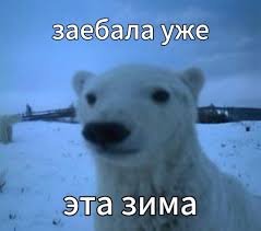 post-35941 thumbnail